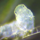 Image for article titled The Most Overhyped Scientific Discoveries of 2015